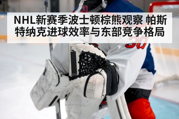 hockey goalie save net
